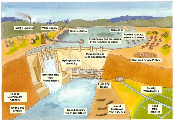 Art representing the Impacts of Dams