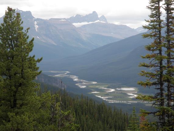 Image of Whirlpool River and Athabasca Pass