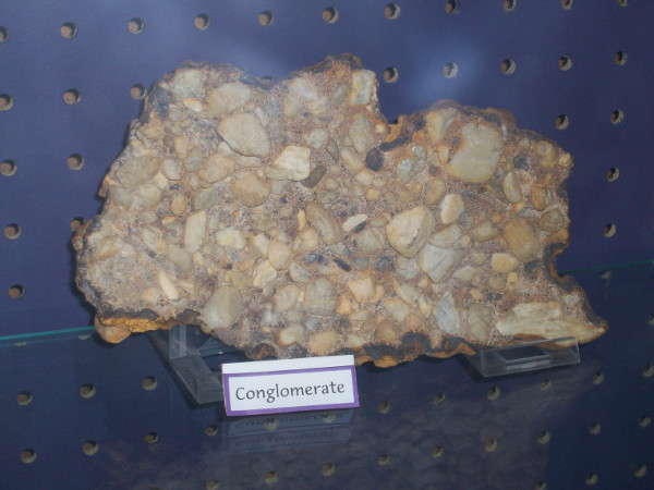 Figure 3: Conglomerate: A conglomerate is a type of rock that is made of grains of different sizes. In this photo, large pebbles are surrounded by small grains of sand. The sand fills the air space in between the pebbles, so this rock has low porosity, meaning that it is not very porous [3].