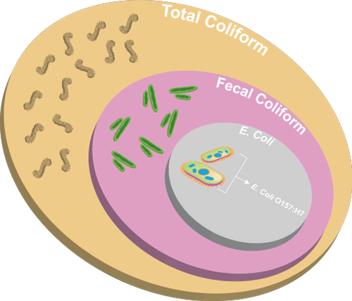 coliform diagram