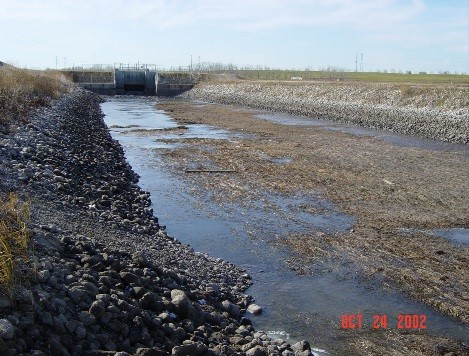 Weed growth in WID main canals. Nutrients from stormwater runoff increase weed growth in the canals, creating maintenance and water quality issues.