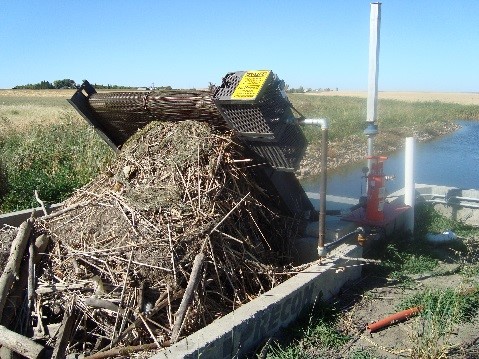 Figure 2: Weed growth in WID main canals. Nutrients from stormwater runoff increase weed growth in the canals, creating maintenance and water quality issues.