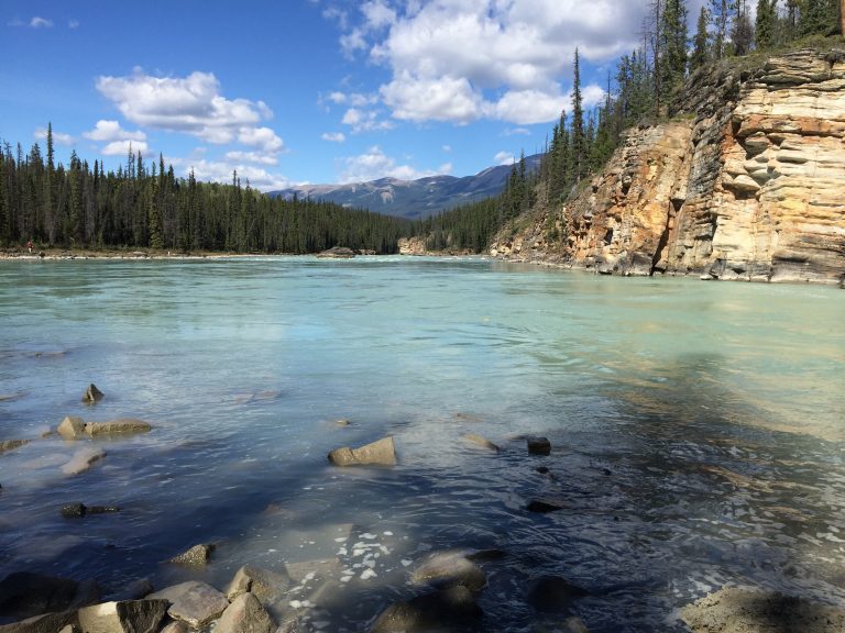 Photograph of the Athabasca River near the Athabasca Falls in Jasper National Park.