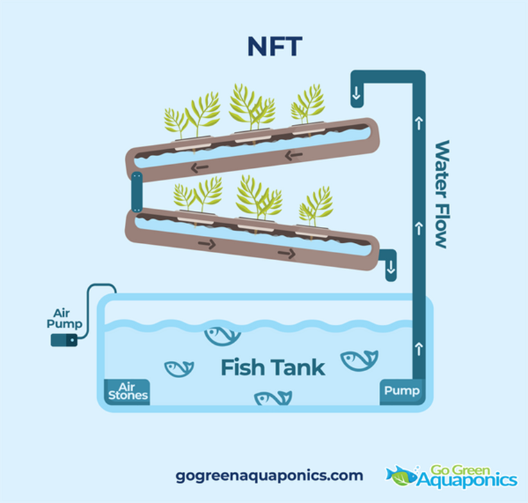 Graphic of a NFT Aquaponics System