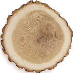 Photograph of a cross-section of the tree showing the growth rings.