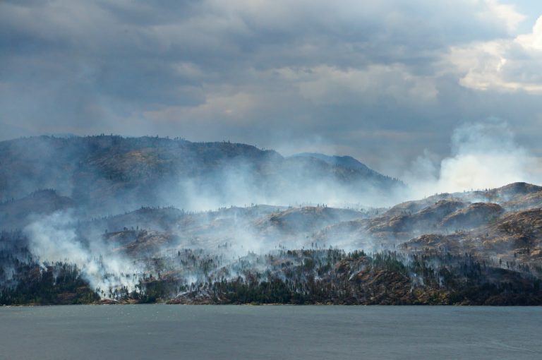 A photograph of the smouldering remains of trees in the Okanagan Valley of BC