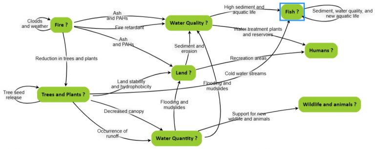 A complex web of nodes and edges where the nodes are issues (e.g. Fire, Land, Water Quality) and the edges are the wildfire impacts on other nodes (e.g. the effects of the fire retardant used on the wildfire on water quality).