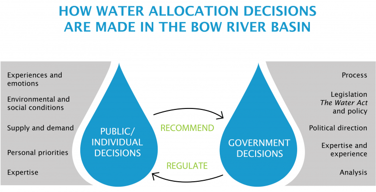 A diagram indicating the interplay of public/individual decisions and government decisions and the constraints on each of those parties.