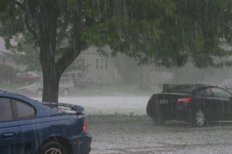 Photograph of cars and a tree seen through driving rain