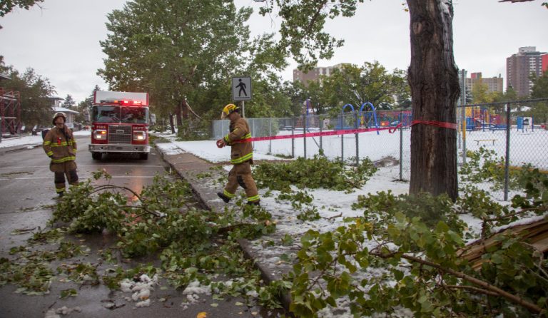 Photograph of City of Calgary firemen responding to trees downed by an unusually early snow storm