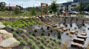 Photograph of an urban bioswale or rain-garden - an example of a nature-based solution to urban stormwater management.