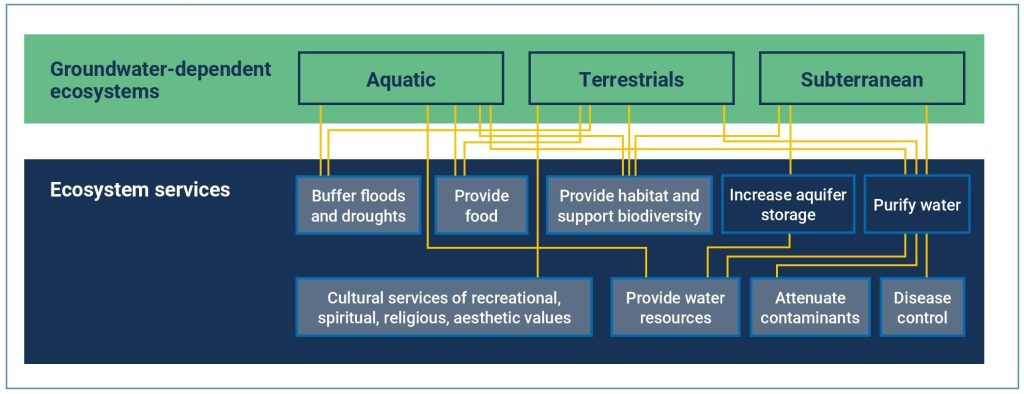 A diagram connecting groundwater-dependent ecosystem types with the ecosystem services they provide