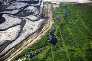 Aerial photograph of tarsands and seismic lines in the Boreal forest of northern Alberta.