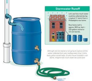 Infographic showing how much water could be collected during a 12.5mm storm from an 800 square foot roof (about 225 gallons).