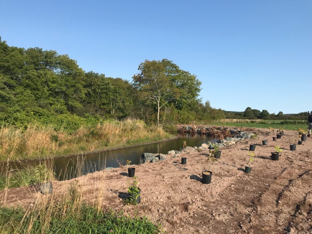 Photograph of a stream bank with potted plants awaiting planting.