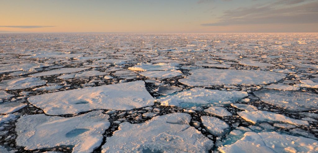 Photograph of broken sea ice in an orange-tinted twilight