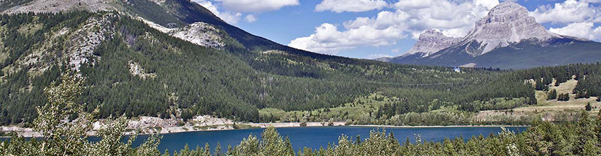 Photograph of boreal montane forest with a lake in the fore ground