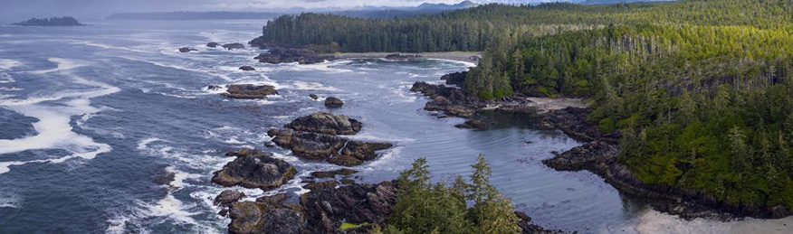 A photograph of the British Columbia coast line taken from the air showing the Coastal forest.