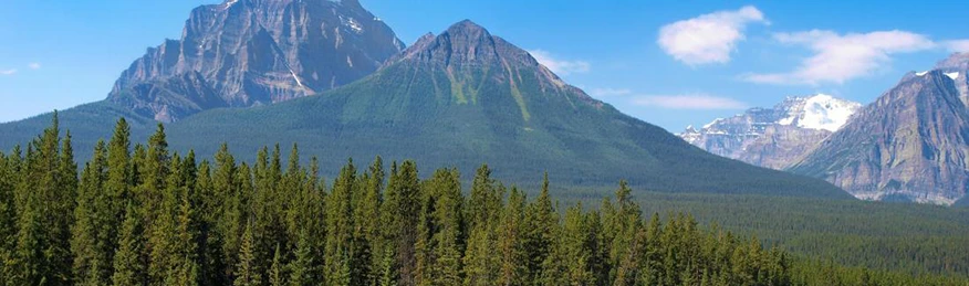 Photograph of Columbia forest region in British Columbia