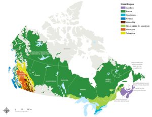 A map of Canada showing the locations and extent of each of the eight forest types in Canada