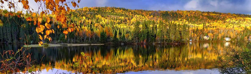 Photograph of fall colours in the Great Lakes - St Lawrence forest area reflected in a lake